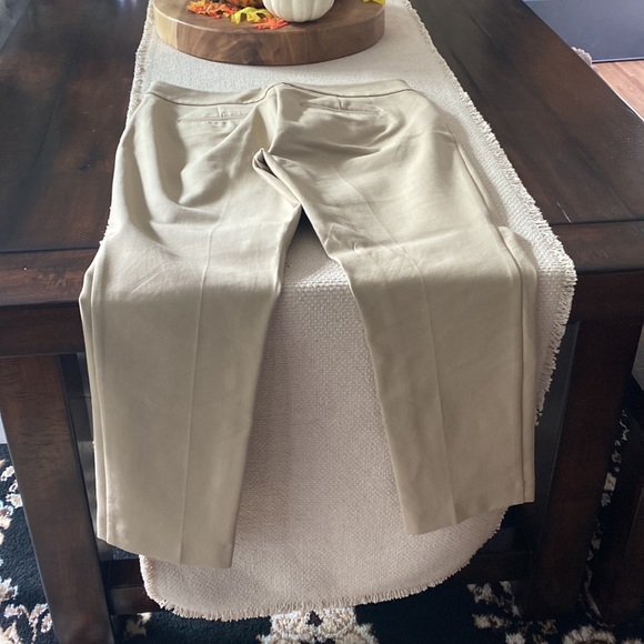 Size 4 Ann Taylor Factory Petite pants - Picture 2 of 4